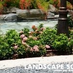 lsslandscapedesign10