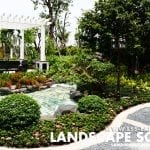 lsslandscapedesign15