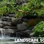 lsslandscapedesign4