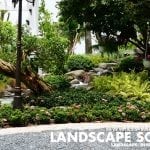 lsslandscapedesign7