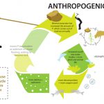 phosphorus2