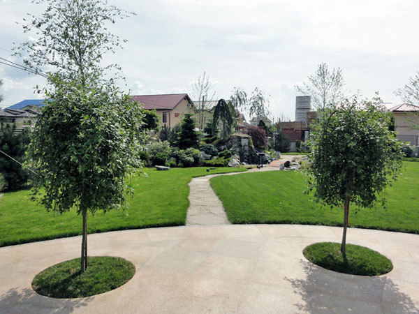 Garden with a waterfall and pond