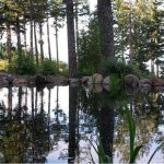 portlandwaterfeature