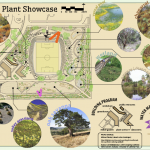 pp_plant_showcase