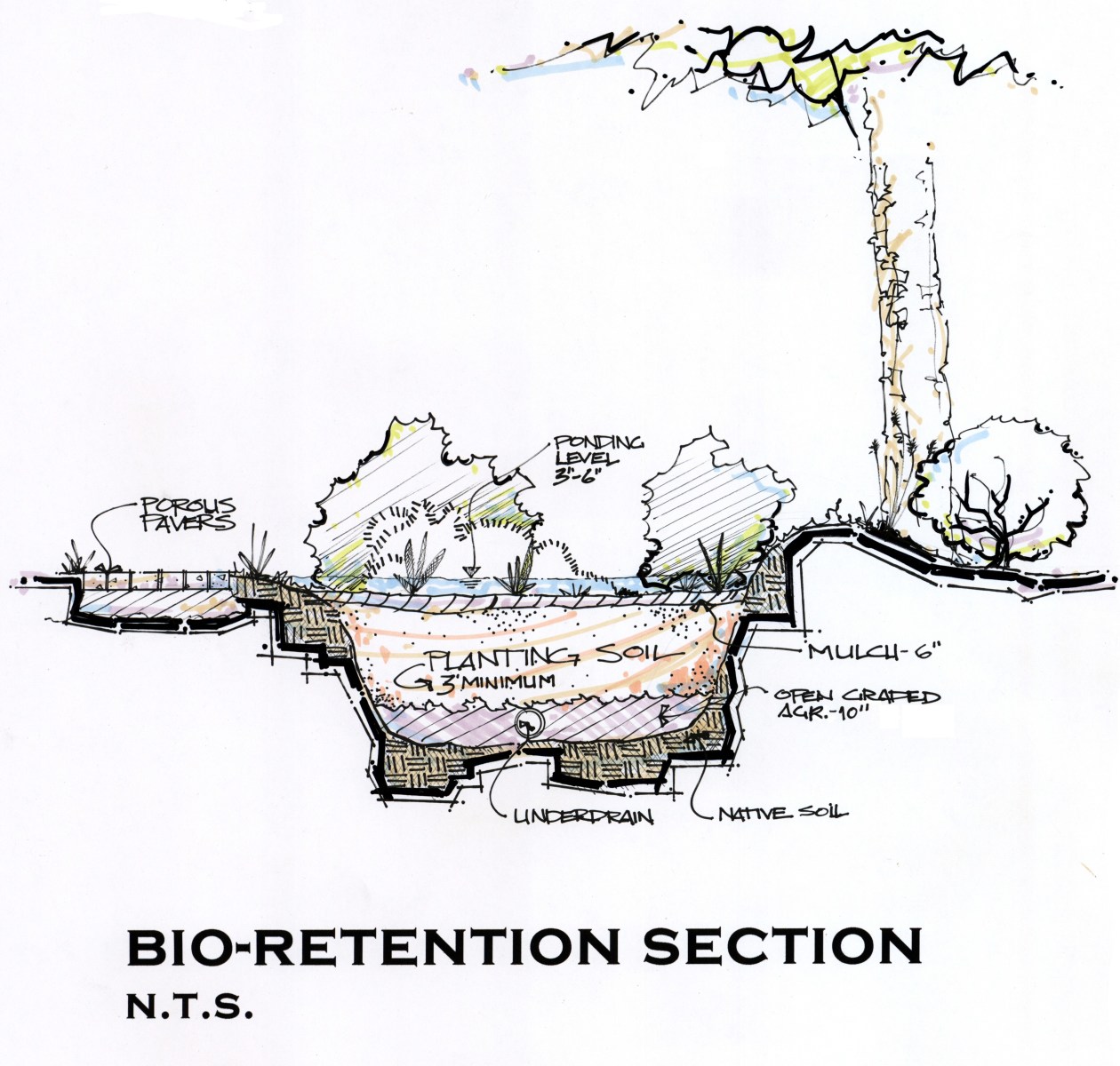 sketch – bioretention