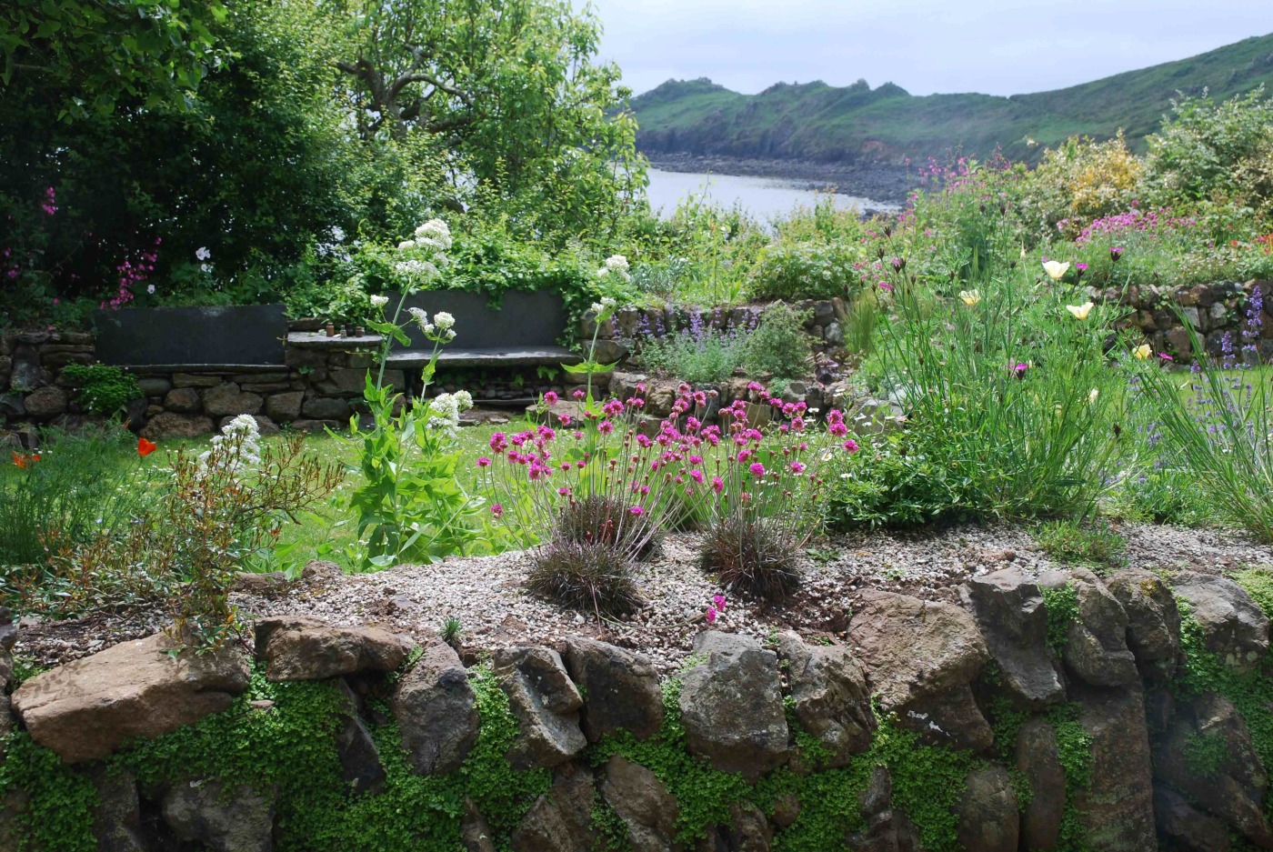 Clifftop garden, Coverack, Cornwall Land8