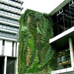 verticalgarden09