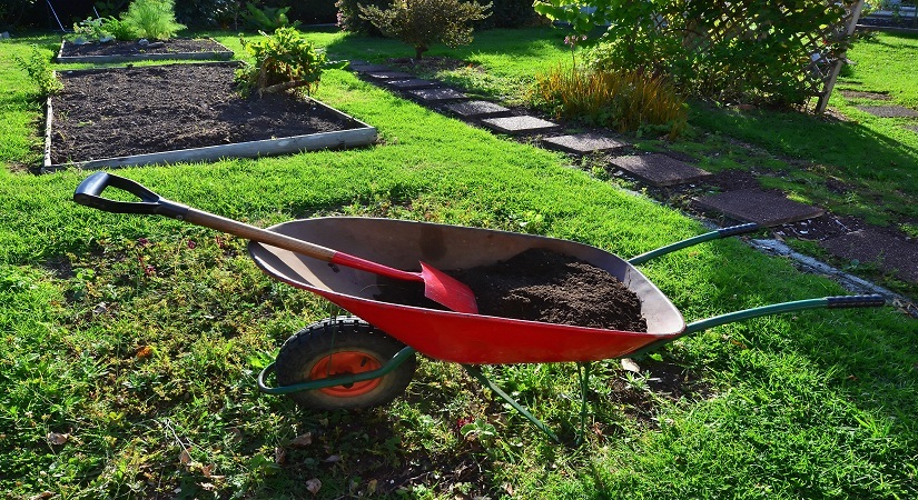 Spring Care: Rejuvenate Your Lawn for the Growing Season