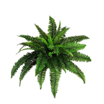 2365-1png_plant_c_by_moonglowlillyd5yq2lg