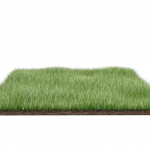 2369-1grass_field_png_by_dabbex30d41st72