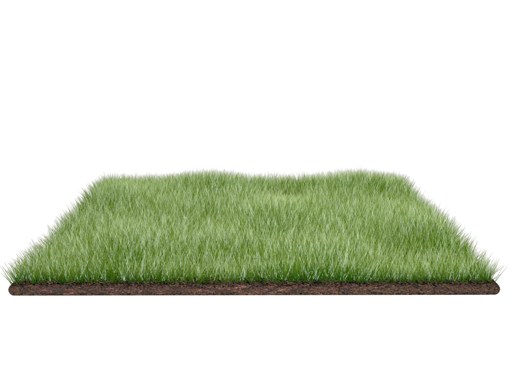 1 grass_field_png_by_dabbex30-d41st72