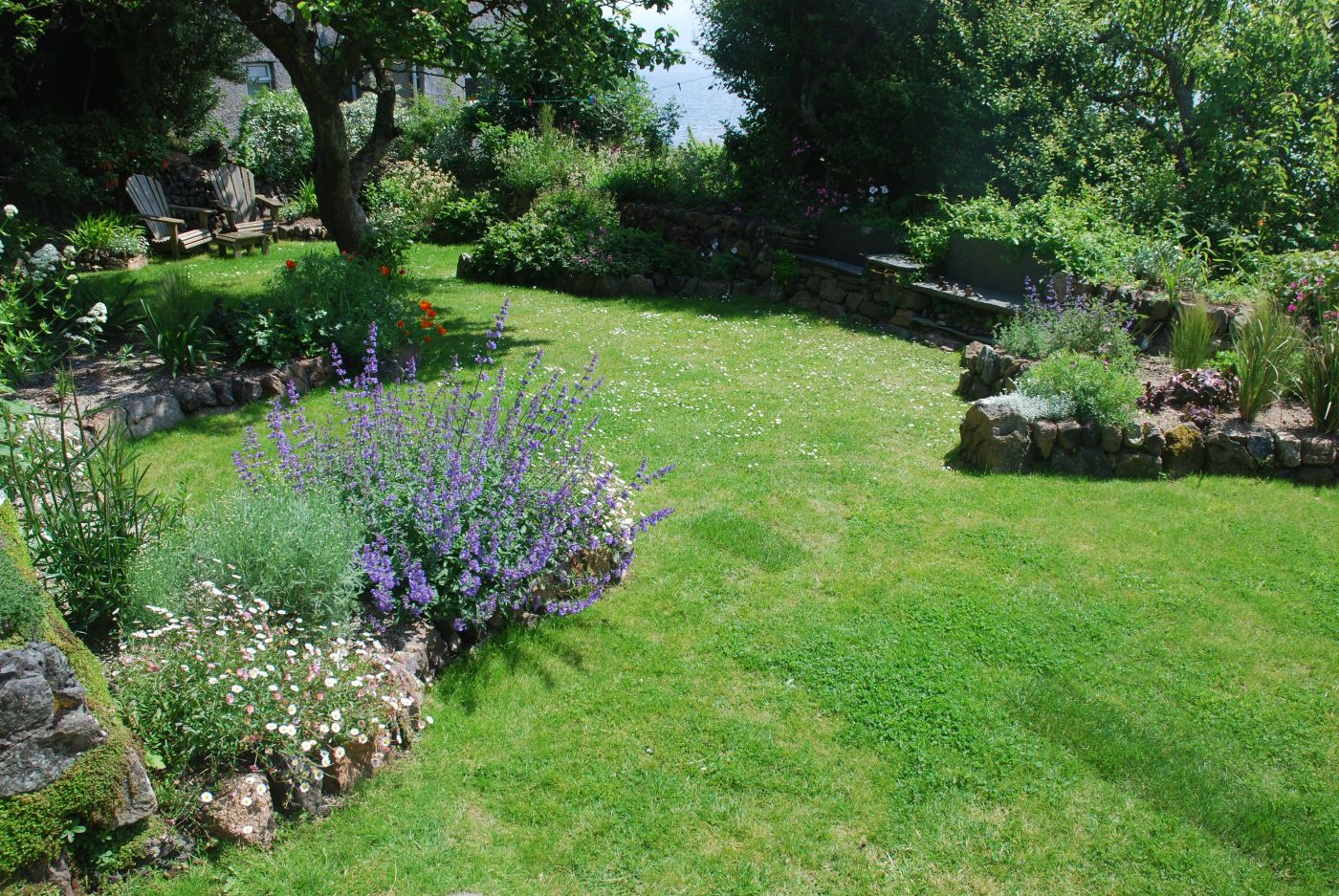 Cilff-top garden, Coverack, Cornwall