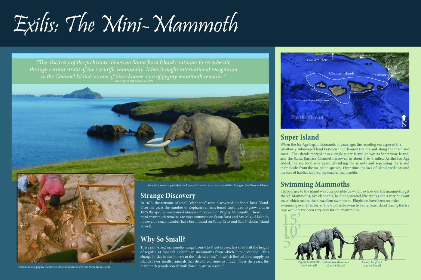 Pygmy Mammoth Board