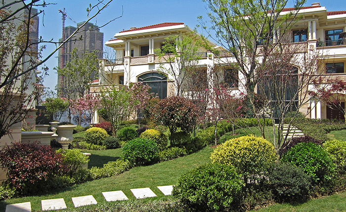 Villa backyard garden