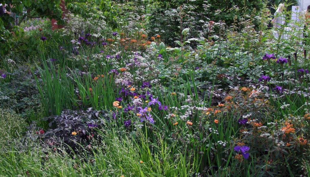Intermingled Planting, Tom Stuart-Smith Studio, Chelsea Flower Show 2019