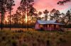 Who wouldn't want to live in this magical cottage in the Florida pine flatwoods? Cadence created this wonderful image - check their social media for the full story.