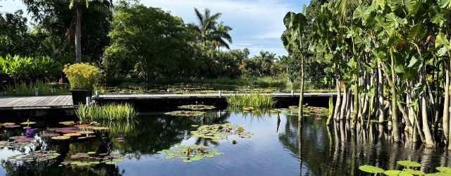 Naples Botanical Garden in Collier County, Florida, is an example of a garden that demonstrates scientific research, conservation, display, and education.