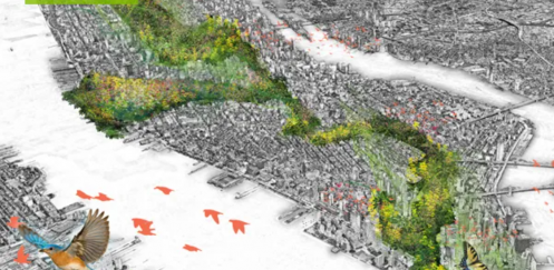 Green fissure / image: LAUD – Lucila Silva-Santisteban