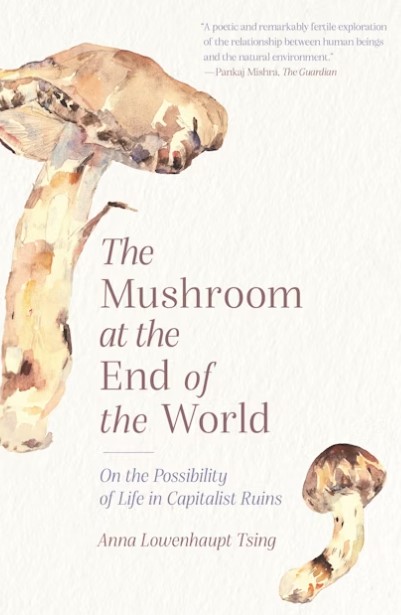 The Mushroom at the End of the World, Anna Lowenhaupt Tsing, 2021