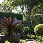 Garden landscape designer Sydney Mosarte Garden Living