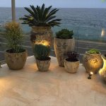 coastal courtyard garden design Sydney Mosarte Garden Living