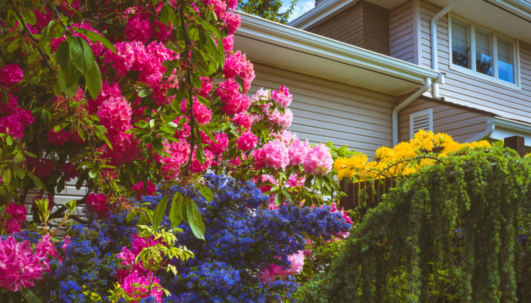 Residential Designers: What’s in Bloom for 2026?