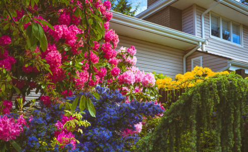Residential Designers: What’s in Bloom for 2026?