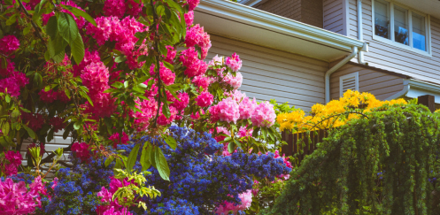 Residential Designers: What’s in Bloom for 2026?