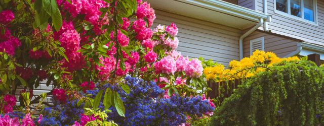 Residential Designers: What’s in Bloom for 2026?