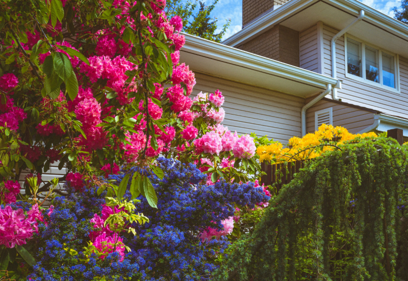 Residential Designers: What’s in Bloom for 2026?