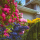 Residential Designers: What’s in Bloom for 2026?