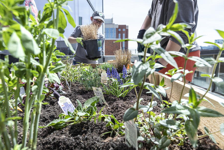 Beyond the Classroom