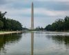 Reflecting Pool Protests