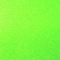 Profile picture of Lime Green