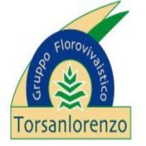 Profile picture of Torsanlorenzo Gruppo