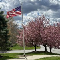 Profile picture of Bill Moore