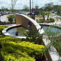 Group logo of Florida Landscape Architects & Designers