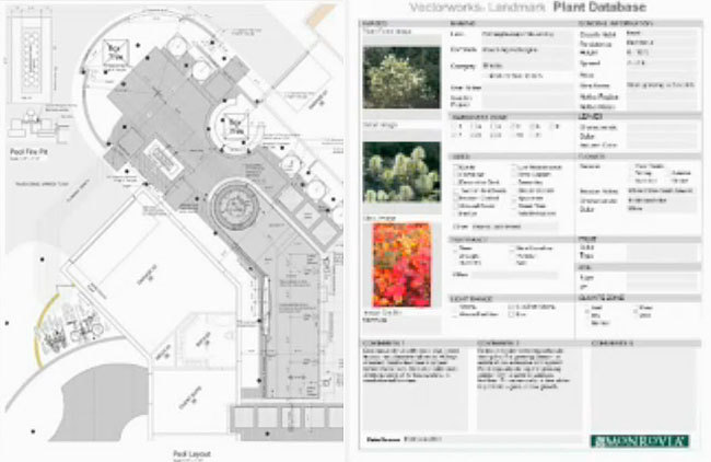 export dwg vectorworks viewer