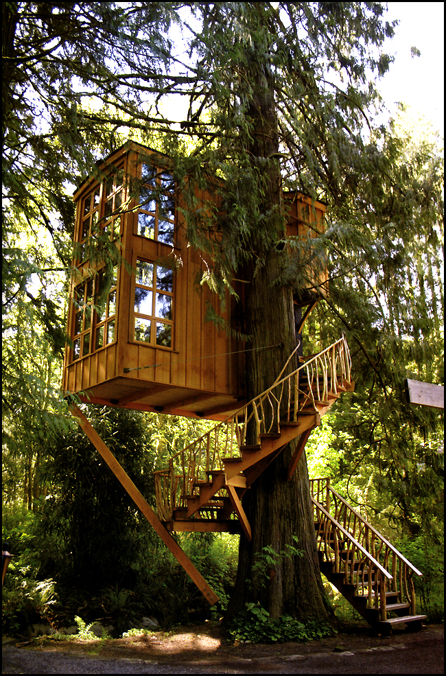 Interview with Pete Nelson of Animal Planet's Treehouse ...