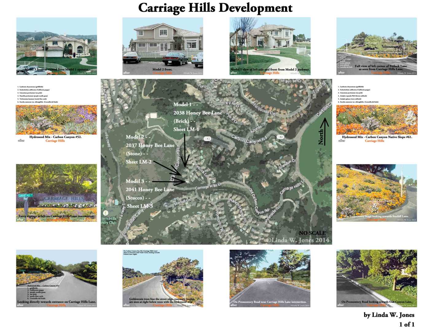 2.--Carriage-Hills-Develpment-lr030415