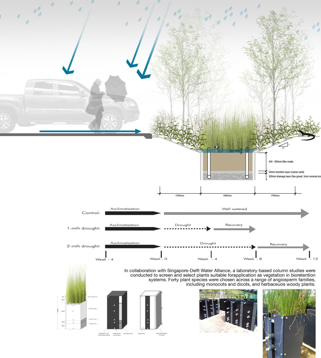 Experimental design and setup