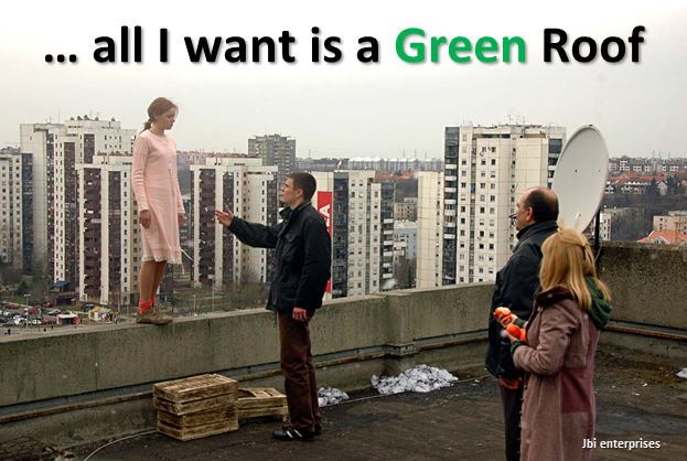 I want a Green Roof