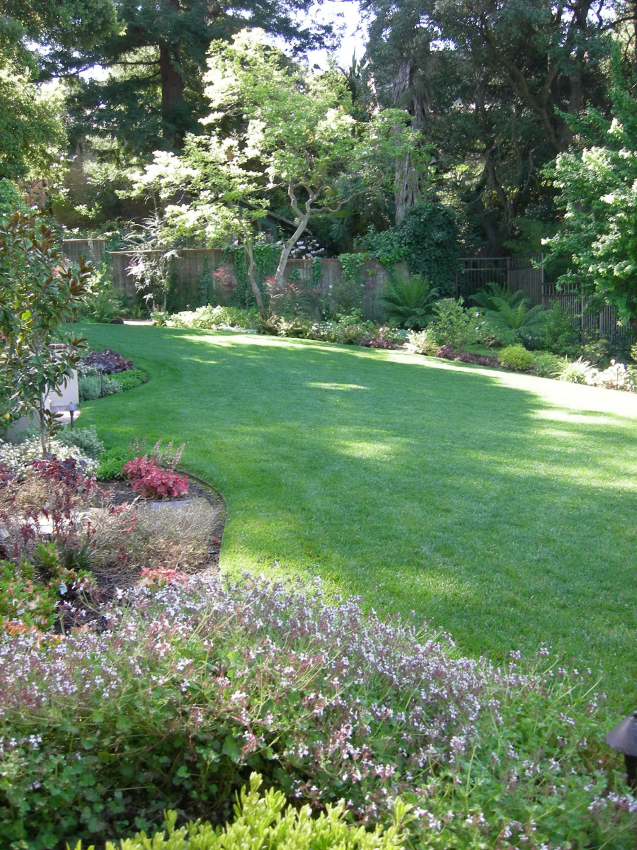 Grand lawn - Terrace Garden in the Oakland Hills