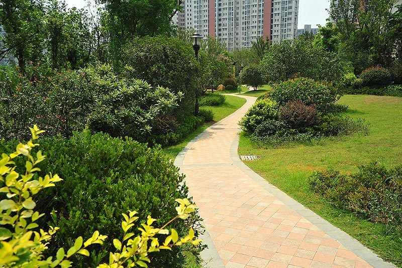 Pathway in the garden