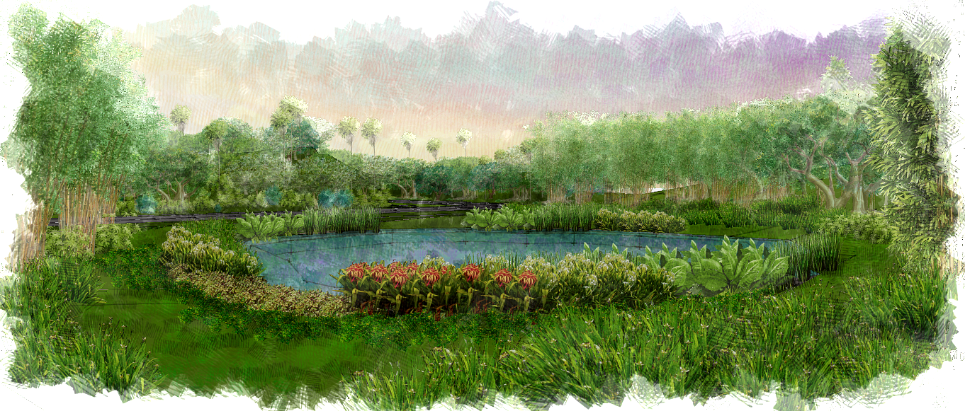 Retention Pond Landscape