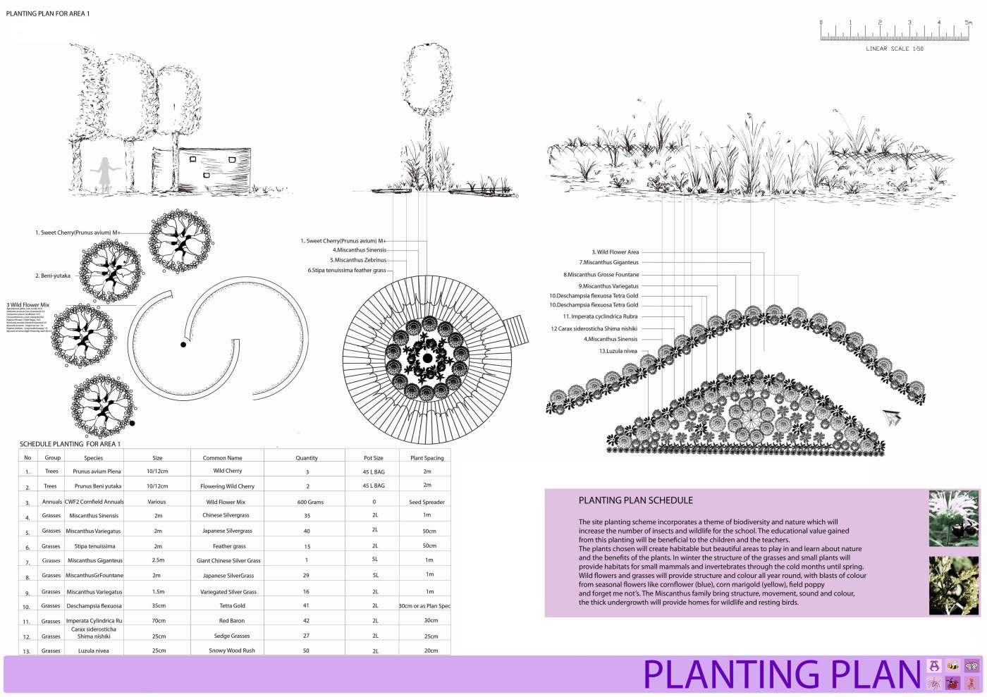 Alwoodly cocept Planting design