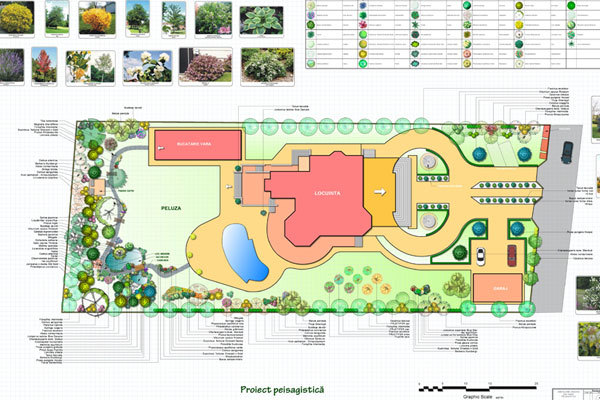 Garden with a waterfall and pond - PLAN