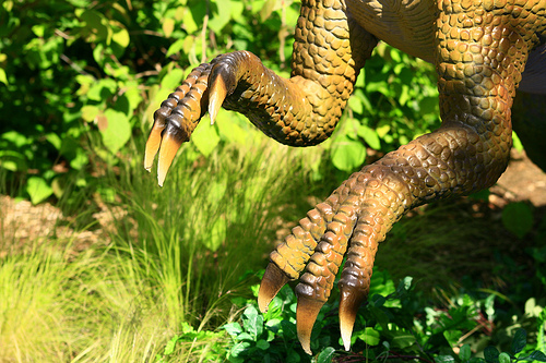 dinosaur teeth and claws for sale