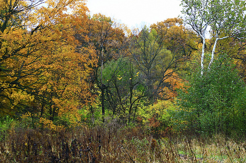 Near Marmo Lake