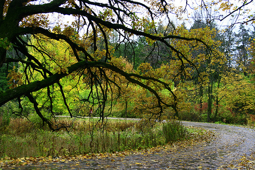 Round the Bend